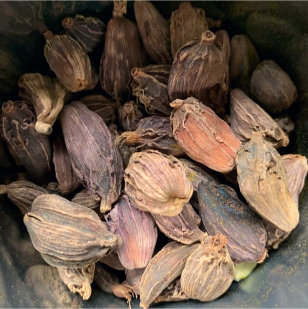 black cardamom pods