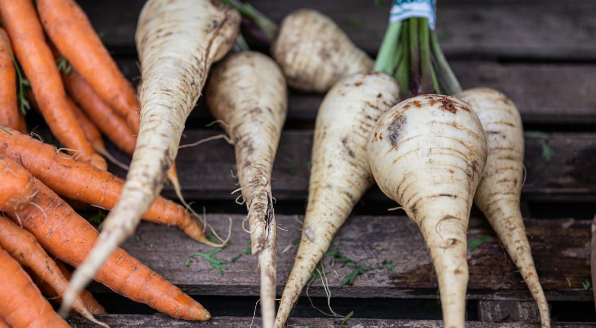 carrots and parsnips on a wooden bench