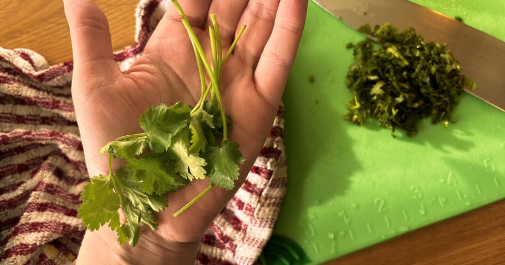 Can I Put Coriander Stems in Curry? Why Coriander Stalk is A Great Ingredient