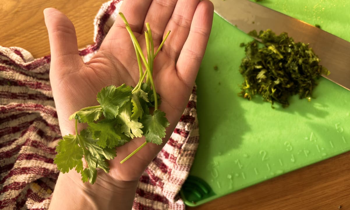 a white adult's hand holding a bunch of fresh coriander, with a ball of fresh chopped coriander in the background