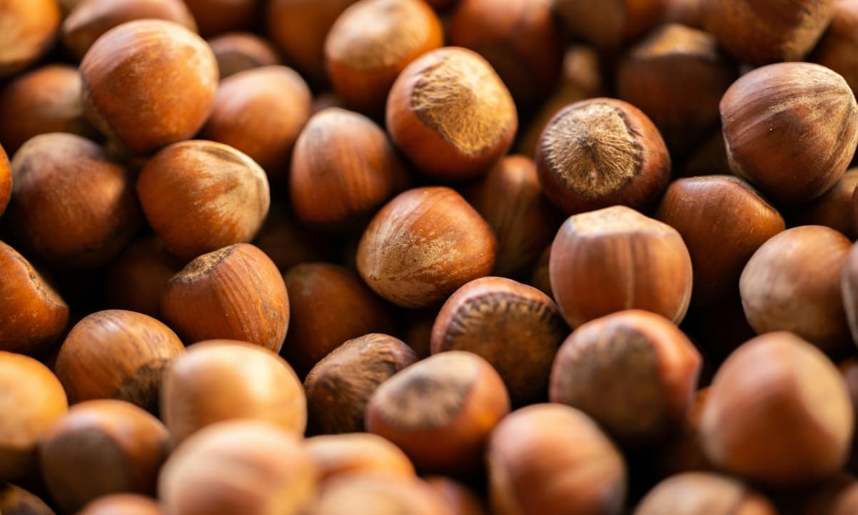 a closeup of many hazelnuts arranged together