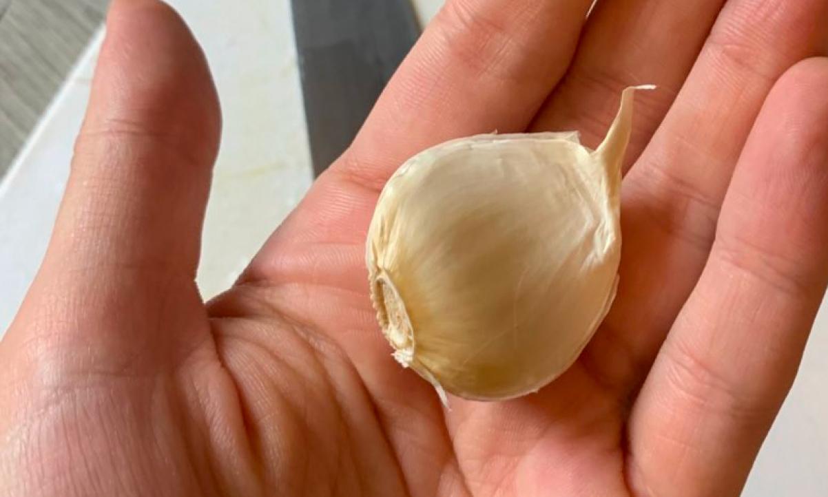 a very large clove of garlic