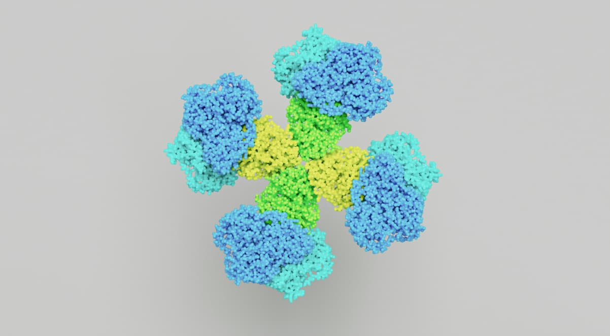 a yeast molecule, coloured yellow, green, blue and aquamarine